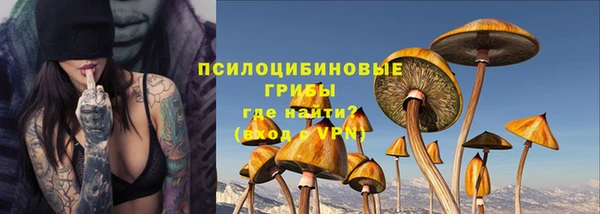 ECSTASY Богородск