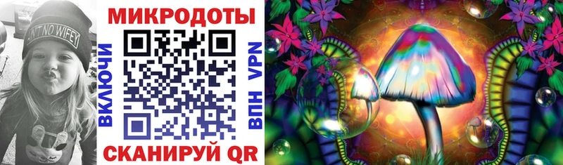 Псилоцибиновые грибы Psilocybine cubensis  нарко площадка формула  Болхов 