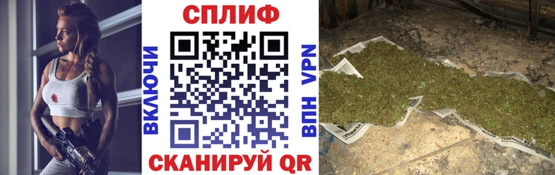 Конопля AK-47  где купить наркотик  Болхов 